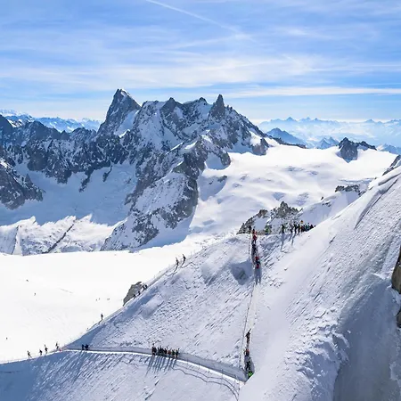 La Verte 27 In/ski Out - Happy Apartman Chamonix